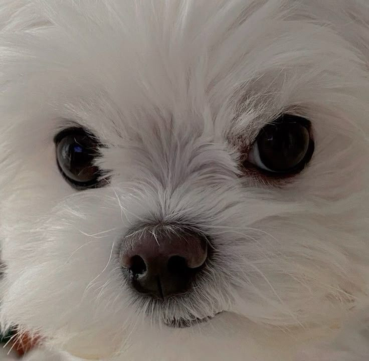 ㅇㄴ